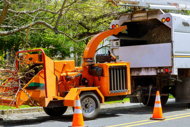 Best Tree Mulching  in Tamalpais Homestead Valley, CA